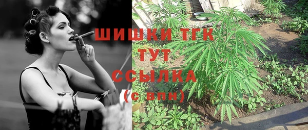 ПСИЛОЦИБИНОВЫЕ ГРИБЫ Арсеньев
