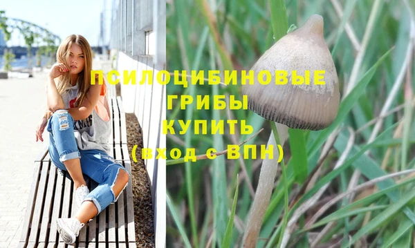 ПСИЛОЦИБИНОВЫЕ ГРИБЫ Арсеньев