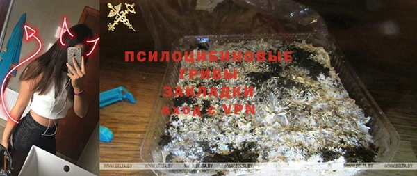 ПСИЛОЦИБИНОВЫЕ ГРИБЫ Арсеньев